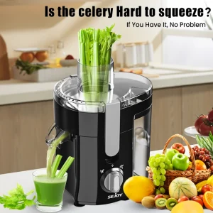 Juicer Machine
